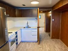 Renovated 1 bedroom in Elmvale Acres - Photo 5