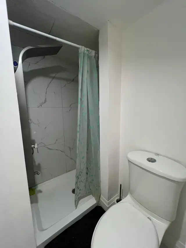 Private Room $700 All Inclusive Mississauga Female Only - Photo 3