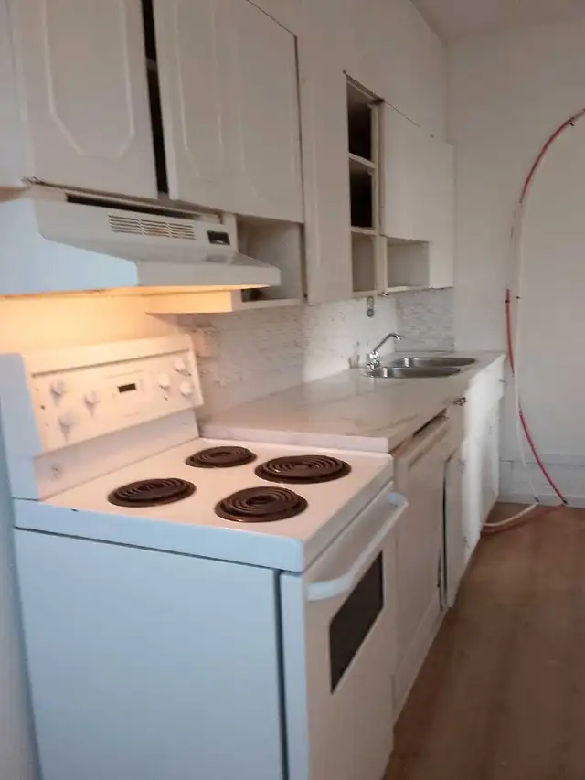 House for Rent - Photo 6