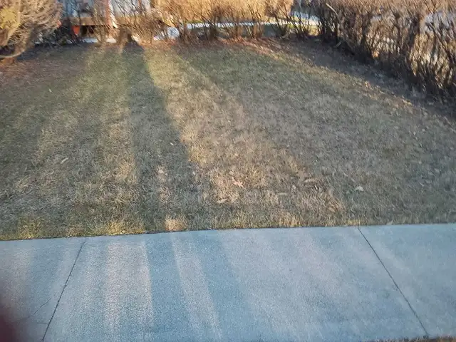 House for Rent - Photo 10