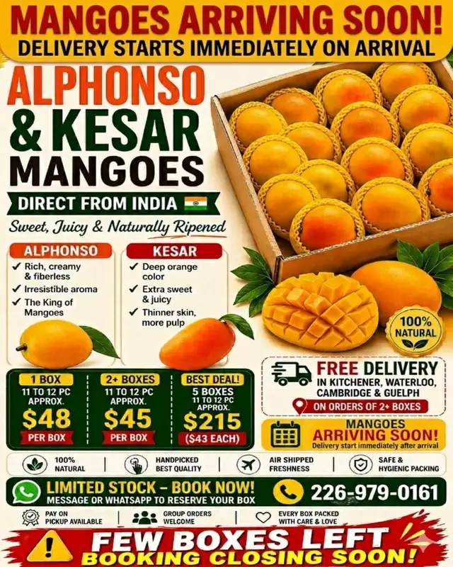 Mango Box Alphanso and Kesar from India