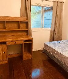 Room for Rent in Dalhousie, convenient location! - Photo 2