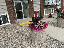 Large, Renovated 2 Bedroom Ground Floor unit Available May 1st. - Photo 2