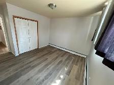 Large, Renovated 2 Bedroom Ground Floor unit Available May 1st. - Photo 4