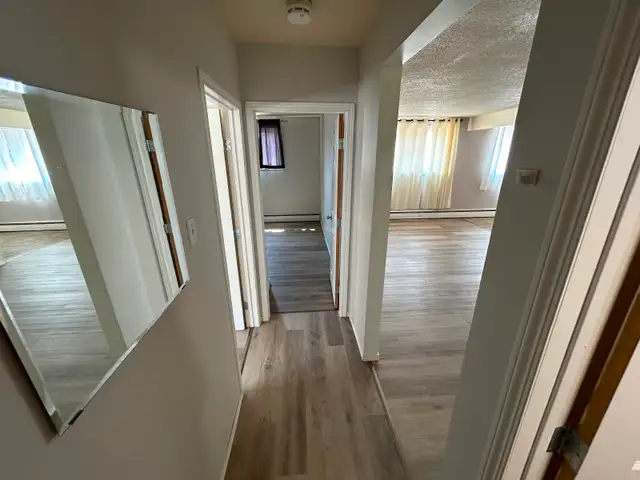 Large, Renovated 2 Bedroom Ground Floor unit Available May 1st. - Photo 6