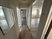 Large, Renovated 2 Bedroom Ground Floor unit Available May 1st. - Photo 6
