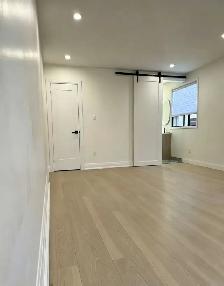 Downtown Toronto one newly renovated studio available May 1st