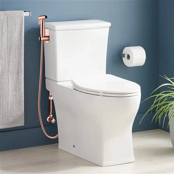 Toilet Bidet Installation