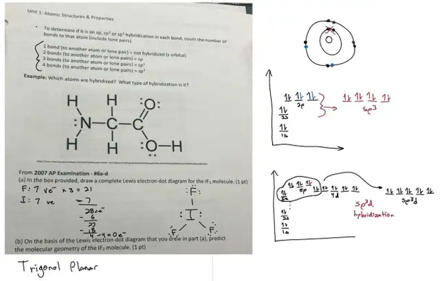 Math, Physics, Chem and Coding Tutor - Online - Photo 2