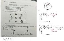 Math, Physics, Chem and Coding Tutor - Online - Photo 2