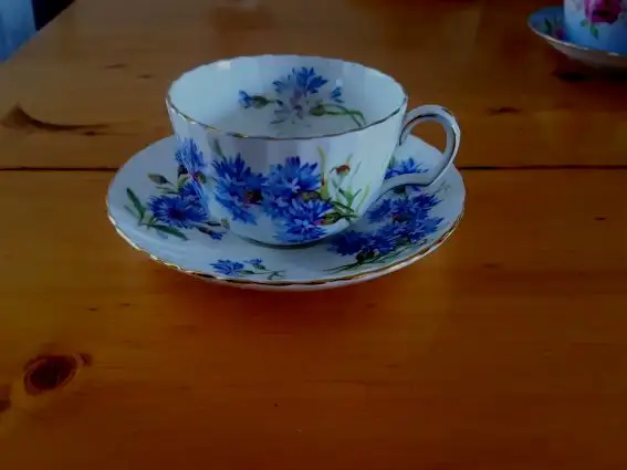 Adderley Bachelor Buttons / Cornflower