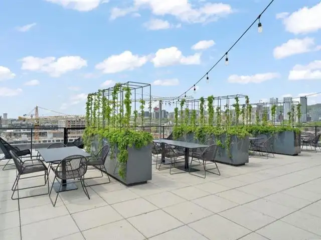 Quite and comfortable 3.5 conda to rent in GriffinTown