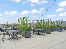 Quite and comfortable 3.5 conda to rent in GriffinTown