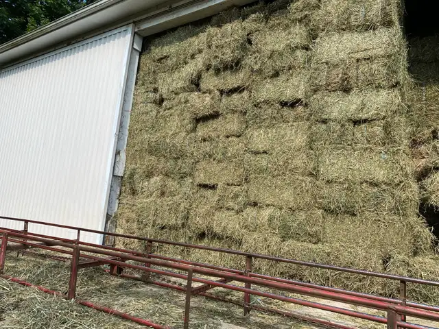 2025 1st Cutting Hay! Delivery Available!
