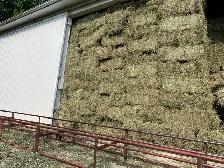2025 1st Cutting Hay! Delivery Available!
