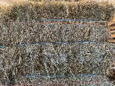 2025 1st Cutting Hay! Delivery Available! - Photo 3