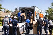 Grizzzlies moving co - Photo 2