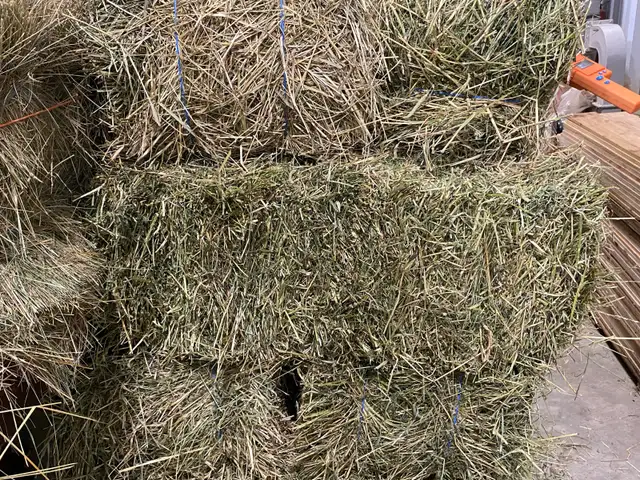1st Cutting in Small Square Bales! Delivery