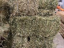 1st Cutting in Small Square Bales! Delivery