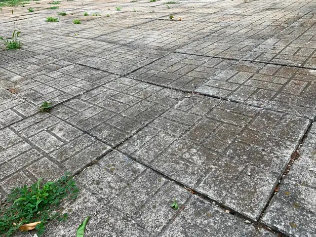 Patio Stones - 18 inch x 18 inch $2.50 each - Photo 2