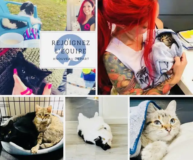 URGENT recherche famille d'accueil temporaire au CAND