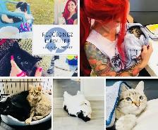 URGENT recherche famille d'accueil temporaire au CAND