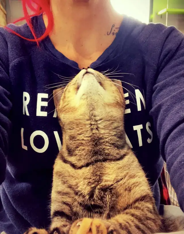 URGENT recherche famille d'accueil temporaire au CAND - Photo 6