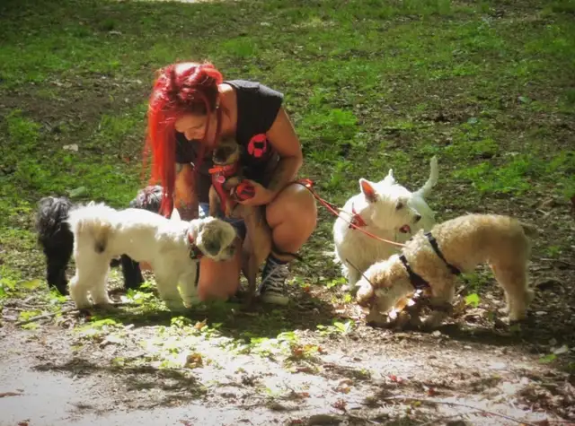 URGENT recherche famille d'accueil temporaire au CAND - Photo 10