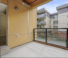 2-Bedroom apartment for rent near Metrotown - Photo 10