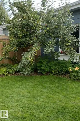 NORTH GLENORA | STUNNING CUSTOM INFILL | $650,000 - Photo 9