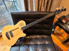 Godin A4 Ultra fretless electric bass in excellent condition