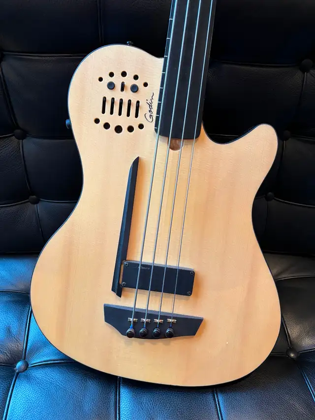 Godin A4 Ultra fretless electric bass in excellent condition - Photo 3