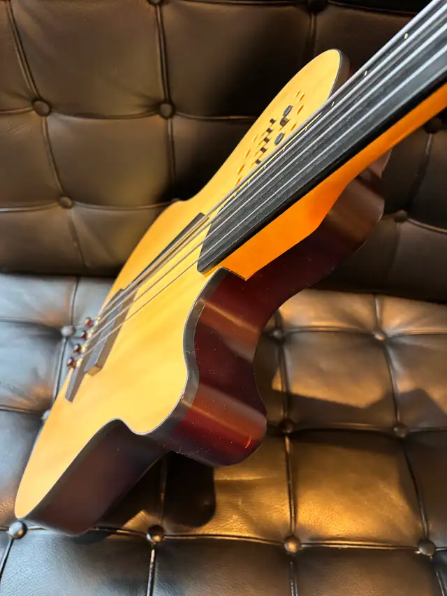 Godin A4 Ultra fretless electric bass in excellent condition - Photo 6