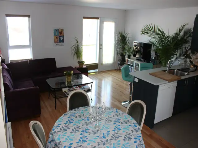 Condo/Appartement 2 chambres (Pointe St-Charles. près du métro)