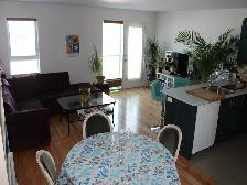 Condo/Appartement 2 chambres (Pointe St-Charles. près du métro)