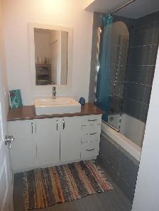 Condo/Appartement 2 chambres (Pointe St-Charles. près du métro) - Photo 5