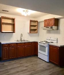 Spacious 2 Bedroom Basement Suite in Beddington