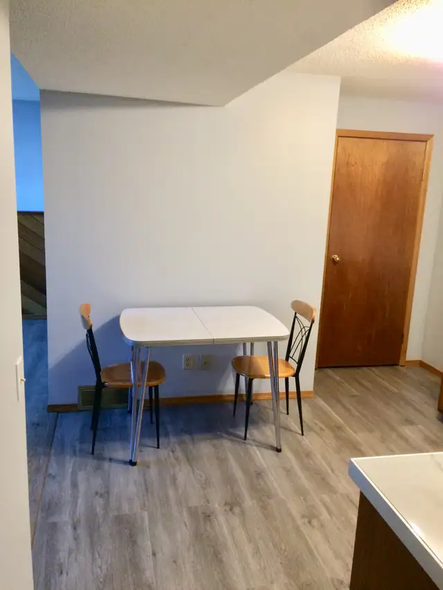 Spacious 2 Bedroom Basement Suite in Beddington - Photo 2