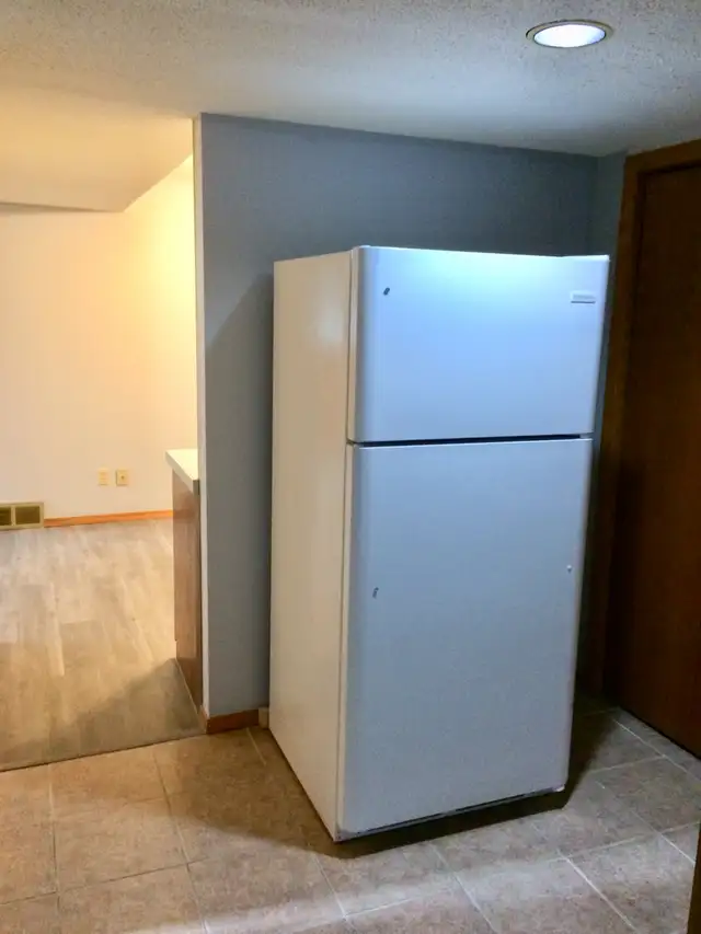 Spacious 2 Bedroom Basement Suite in Beddington - Photo 3