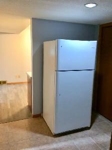 Spacious 2 Bedroom Basement Suite in Beddington - Photo 3