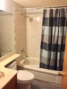 Spacious 2 Bedroom Basement Suite in Beddington - Photo 8