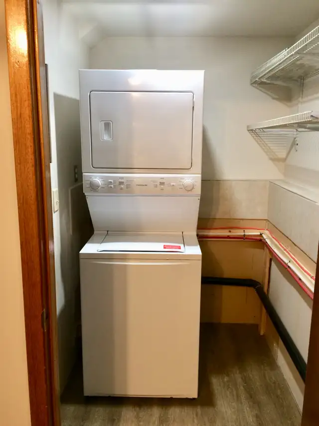 Spacious 2 Bedroom Basement Suite in Beddington - Photo 9