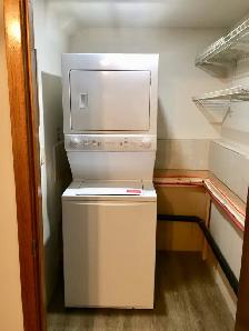 Spacious 2 Bedroom Basement Suite in Beddington - Photo 9