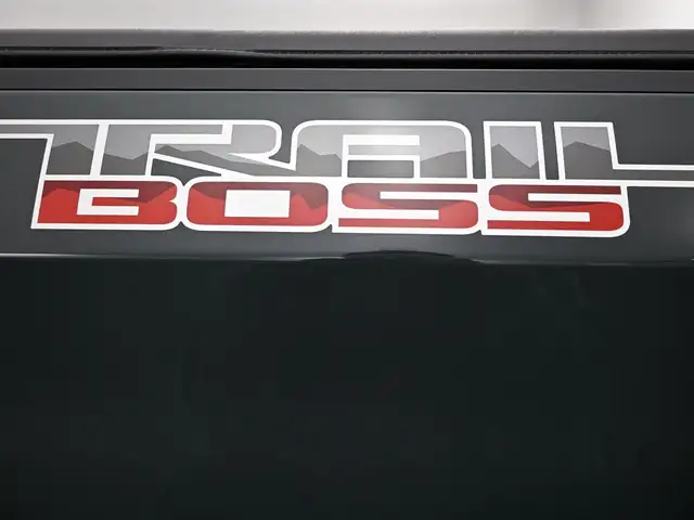 2025 Chevrolet Silverado 1500 Just Arrived & Fully Certified Onl - Photo 24