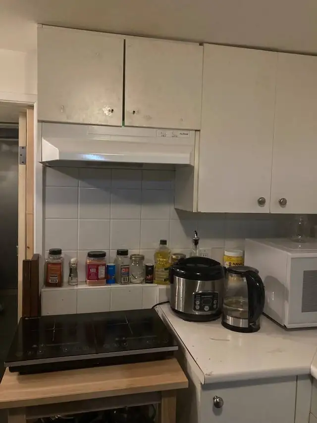 4.3km to UBC, 7-min Drive, 14-min Bike, Ground-floor Furnished - Photo 9