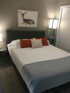 Fully FURNISHED 1 Bedroom Condo May 1st - Metis Trail/128 Ave NE - Photo 5