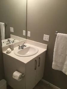 Fully FURNISHED 1 Bedroom Condo May 1st - Metis Trail/128 Ave NE - Photo 7