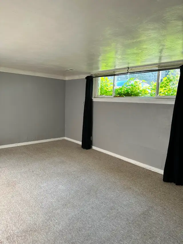 2 Bedrooms -Attention Students - Walk or bike to Carleton U - Photo 10