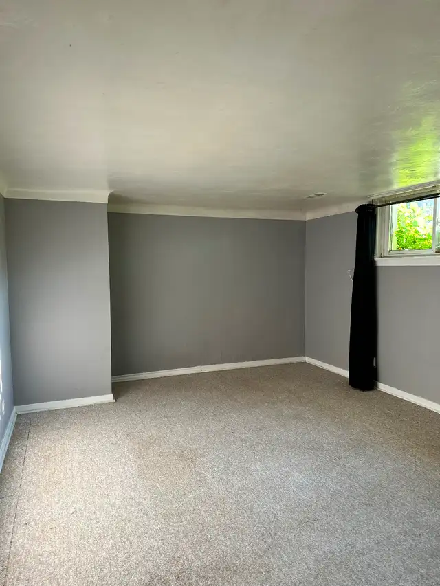 2 Bedrooms -Attention Students - Walk or bike to Carleton U - Photo 11