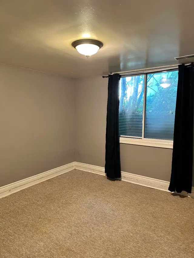 2 Bedrooms -Attention Students - Walk or bike to Carleton U - Photo 12